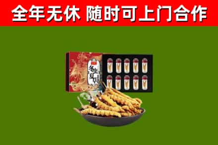 邗江烟酒回收冬虫夏草礼盒.jpg