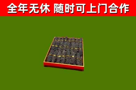 邗江回收海参